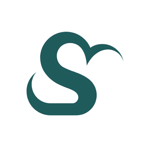 Solanki Technologies | Website Design for Small Businesses in Auckland & NZ logo